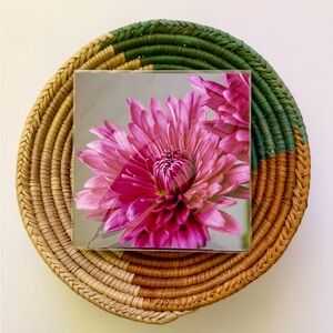 🩷🌸 4x4 Pink Mum Flower Print